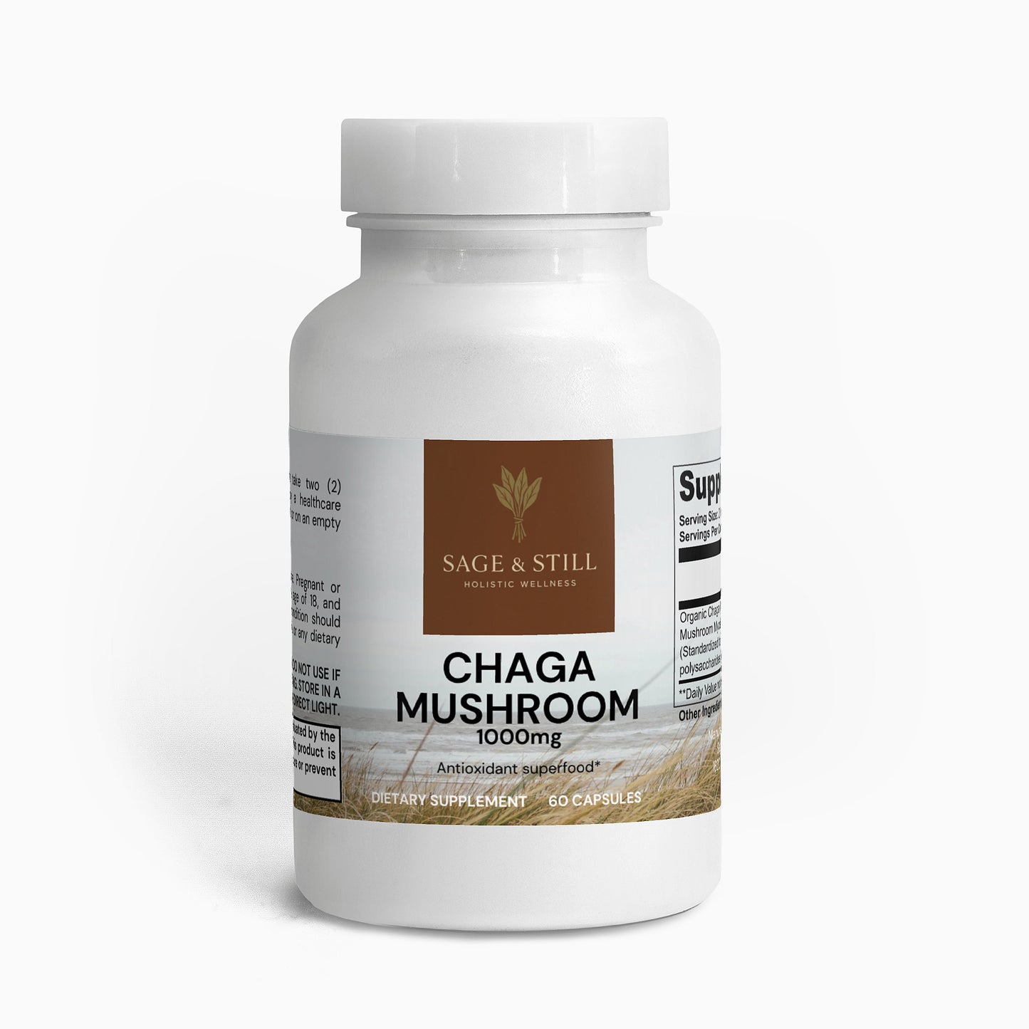 Chaga Mushroom