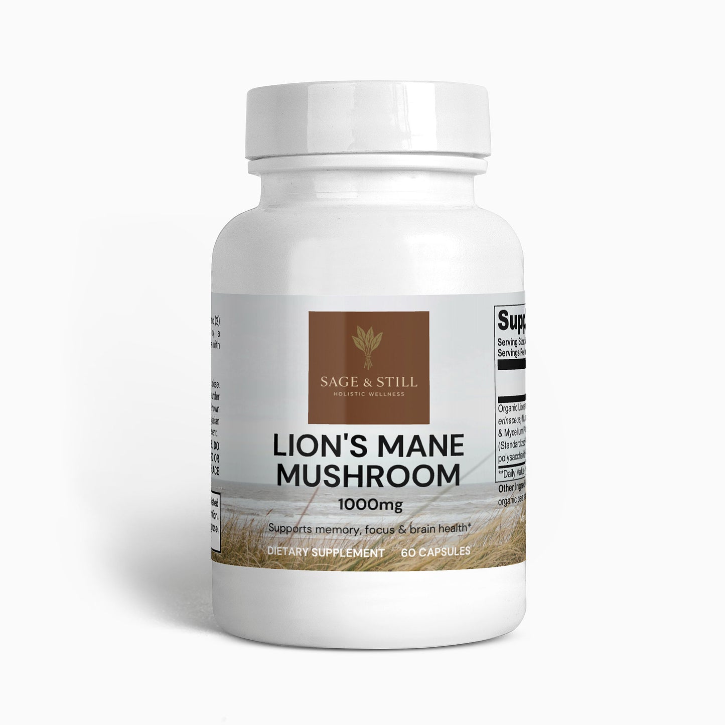 Lion's Mane Mushroom